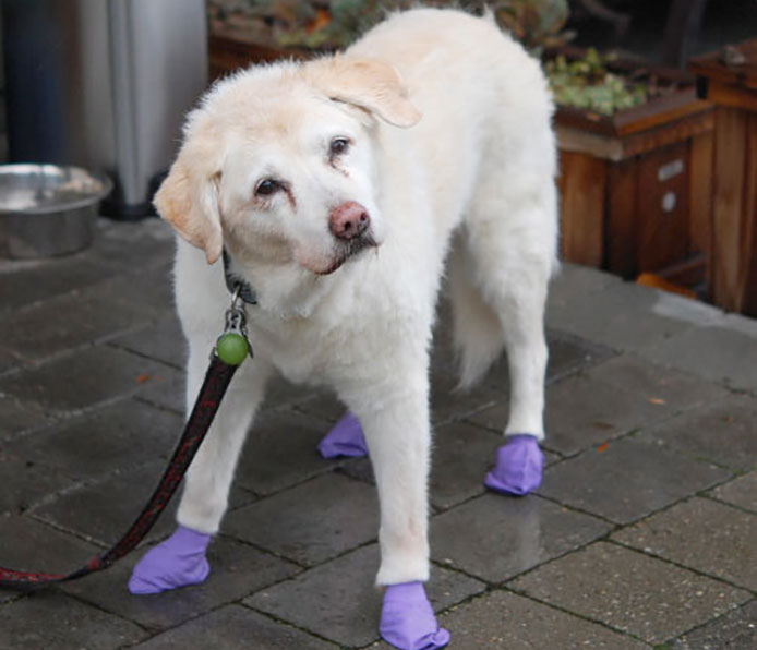 January Patient of the Month