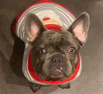 Featured Patient – Morris